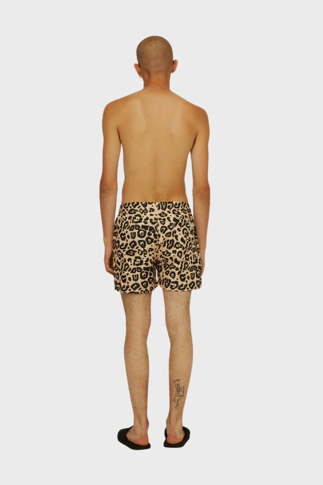 Swim Shorts in Leo - Image 5
