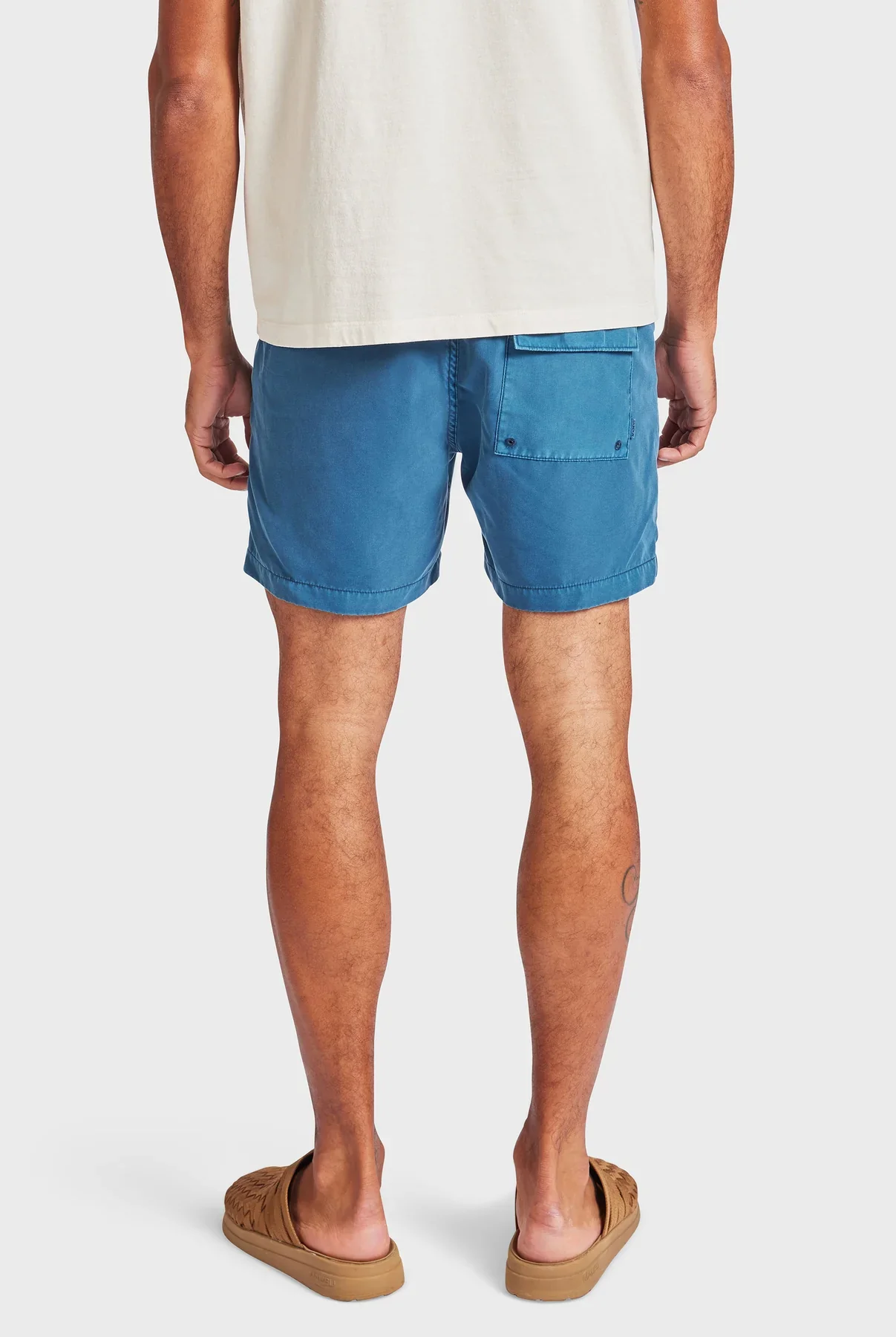 Teamster Boardy in Bluegrass - Image 5