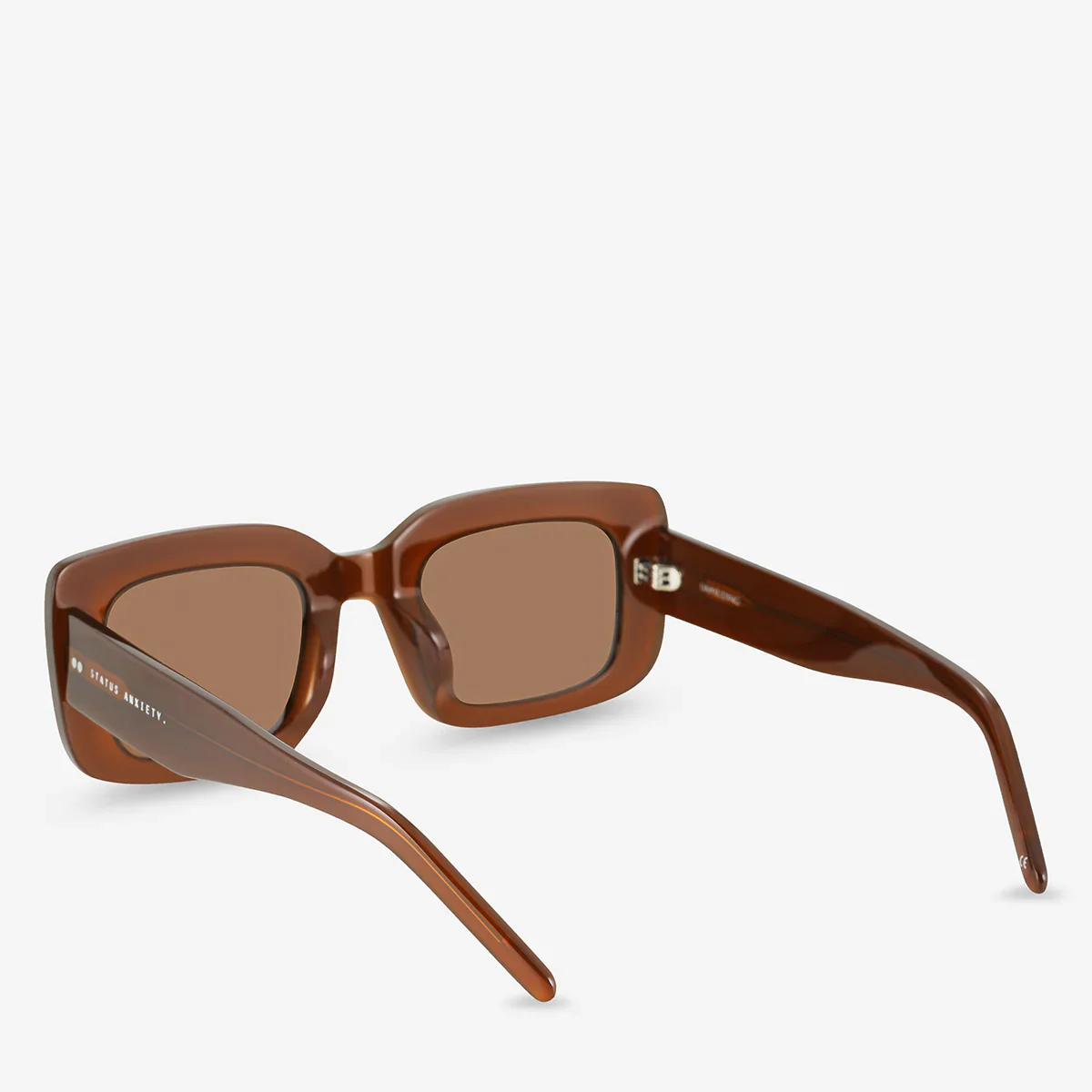 Unyielding Sunglasses in Brown - Image 5